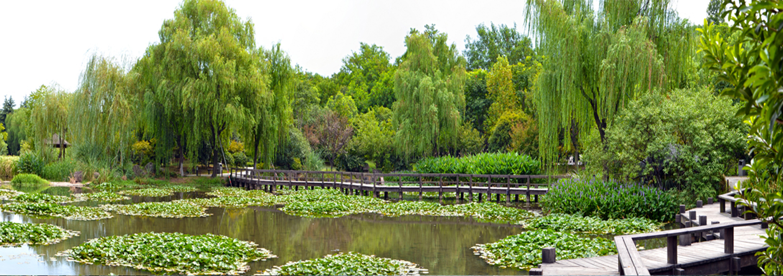 url(http://www.daieo.cn/theme/TP000163/pic/banner4.jpg)